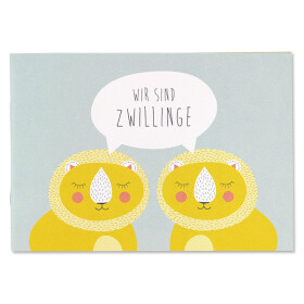 ava&amp;yves, Buch &quot;Wir sind Zwillinge&quot;