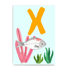 Frau Ottilie, ABC-Karte, *X wie X-Ray Fish*
